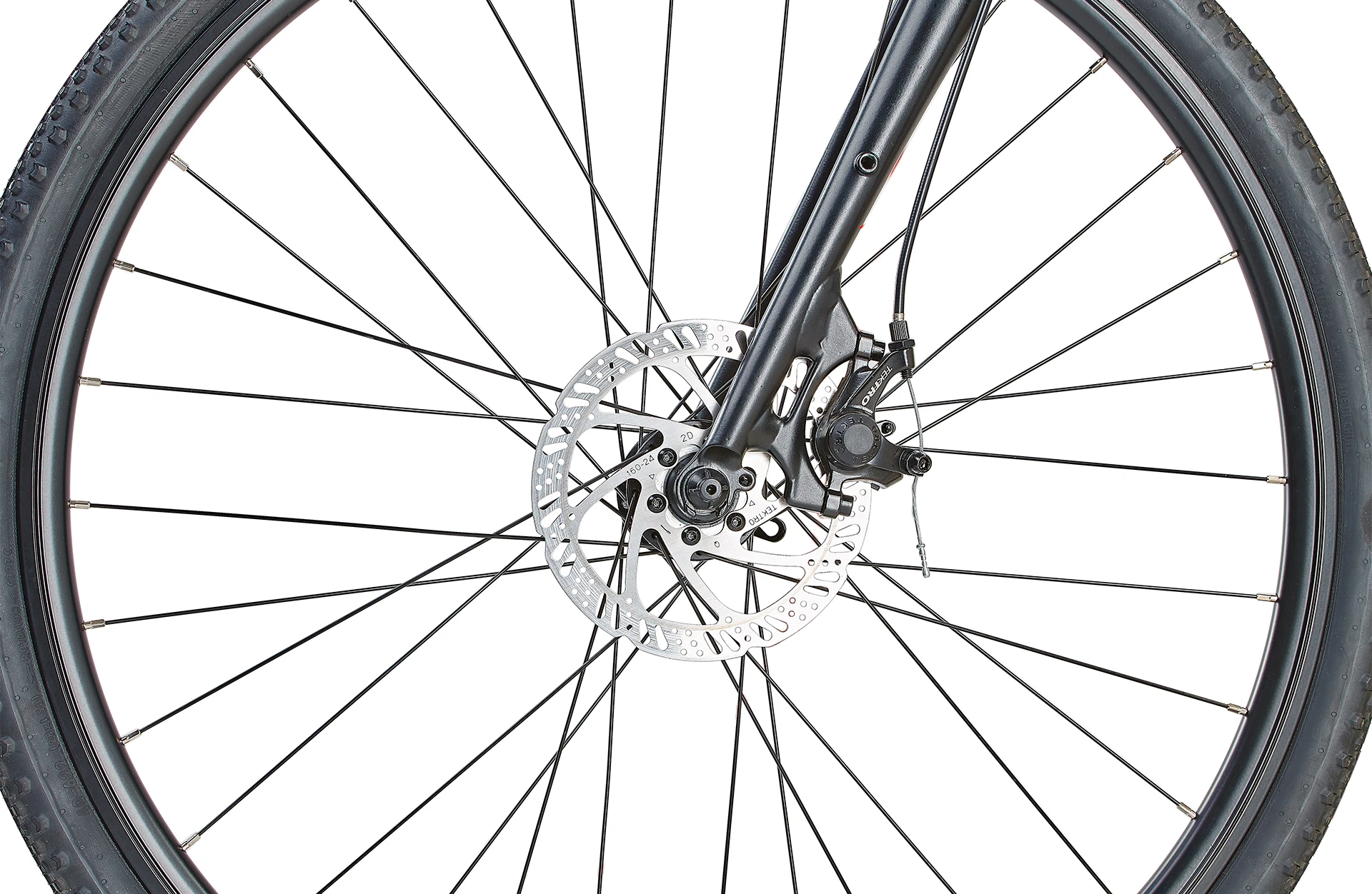 Prophete  Gravelbike Diamant — 3