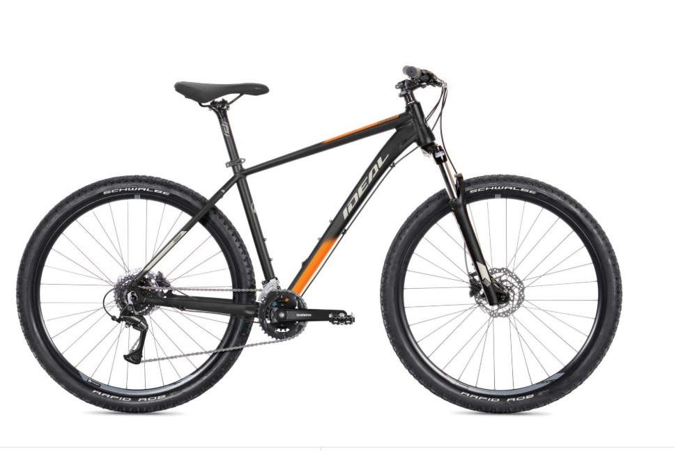 51 - Ideal  - 48 size Prorider  MTB — Mietflotte