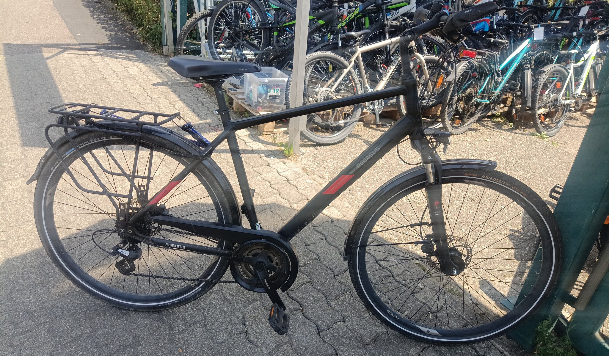22  - Pegasus solero 55 size   Cityrad — Mietflotte