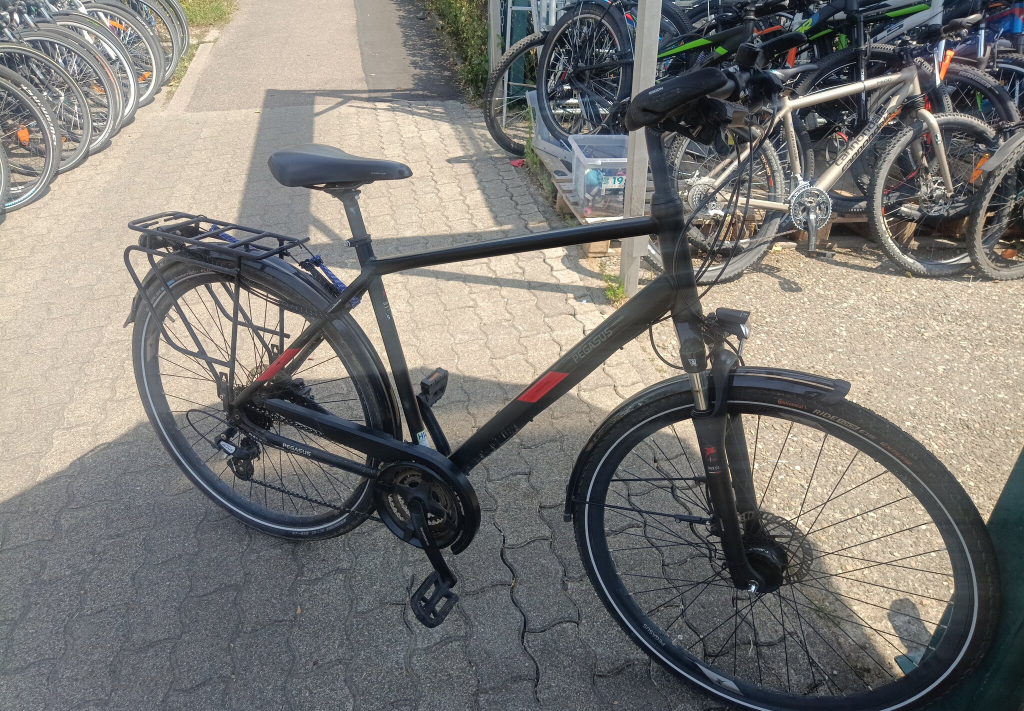 22  - Pegasus solero 55 size   — 6
