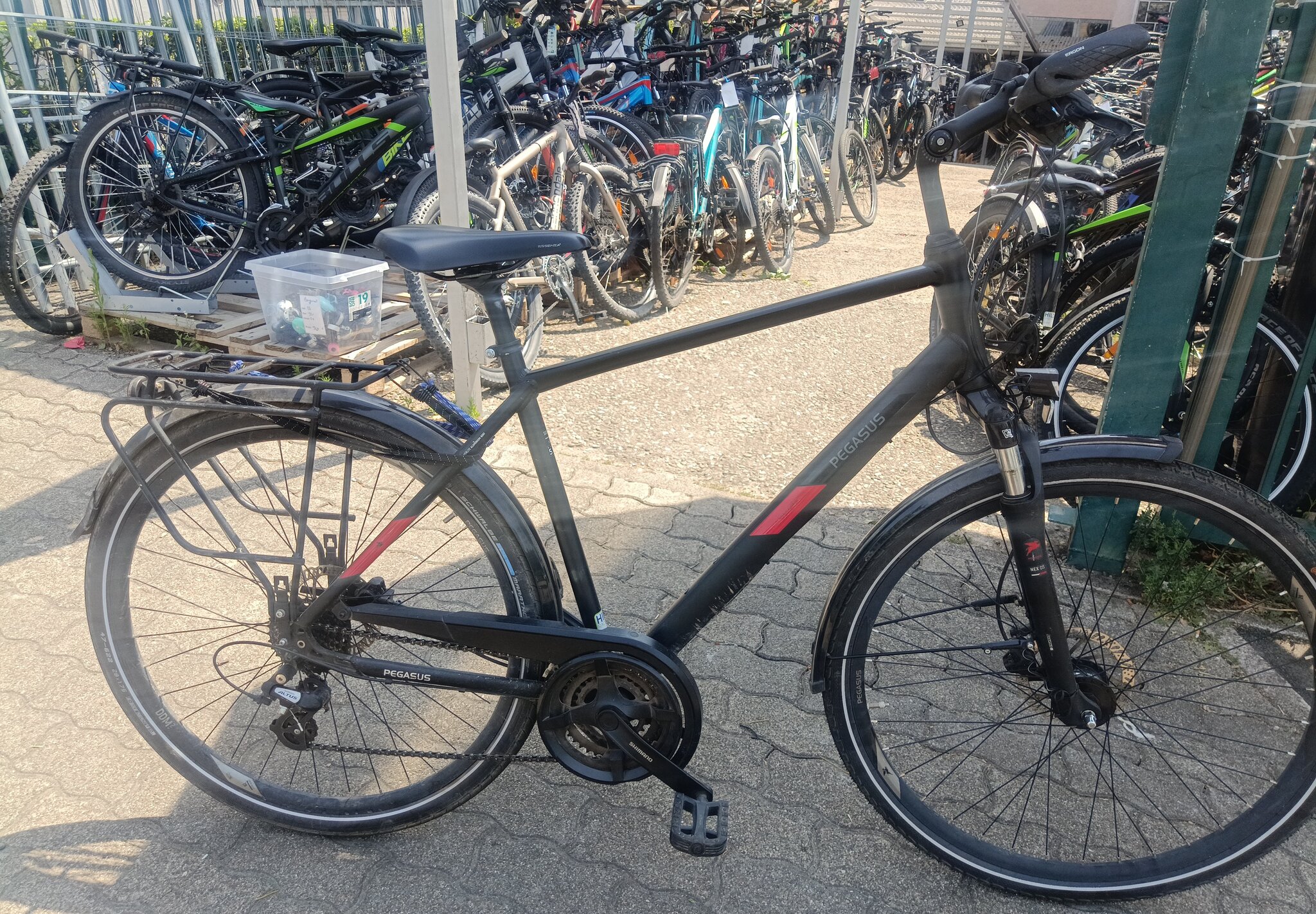22  - Pegasus solero 55 size   — 7