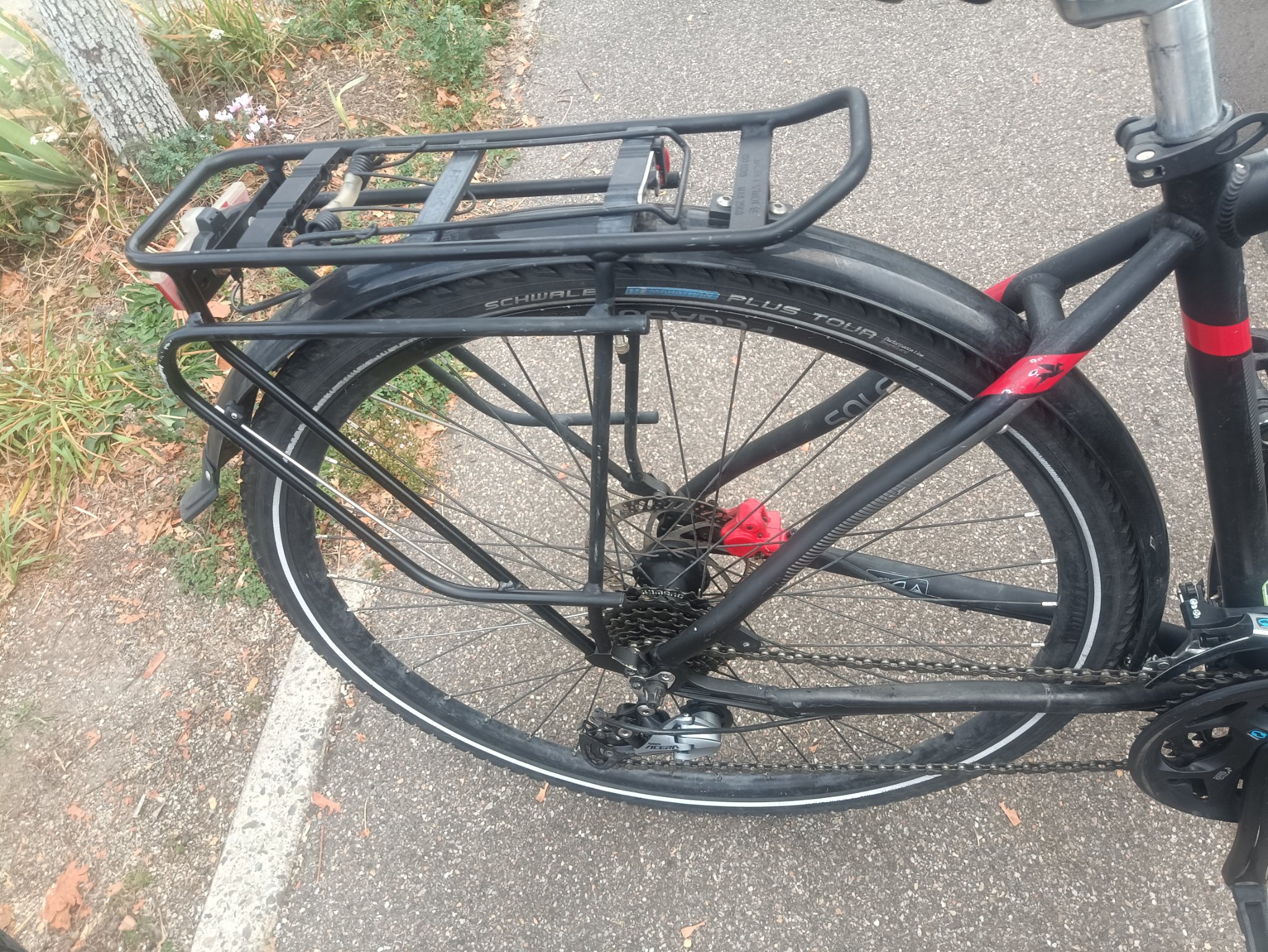 A2- 28 Zoll Pegasus Fahrrad. 24 Gänge . 48 size. Nabendynamo  — Bild 4