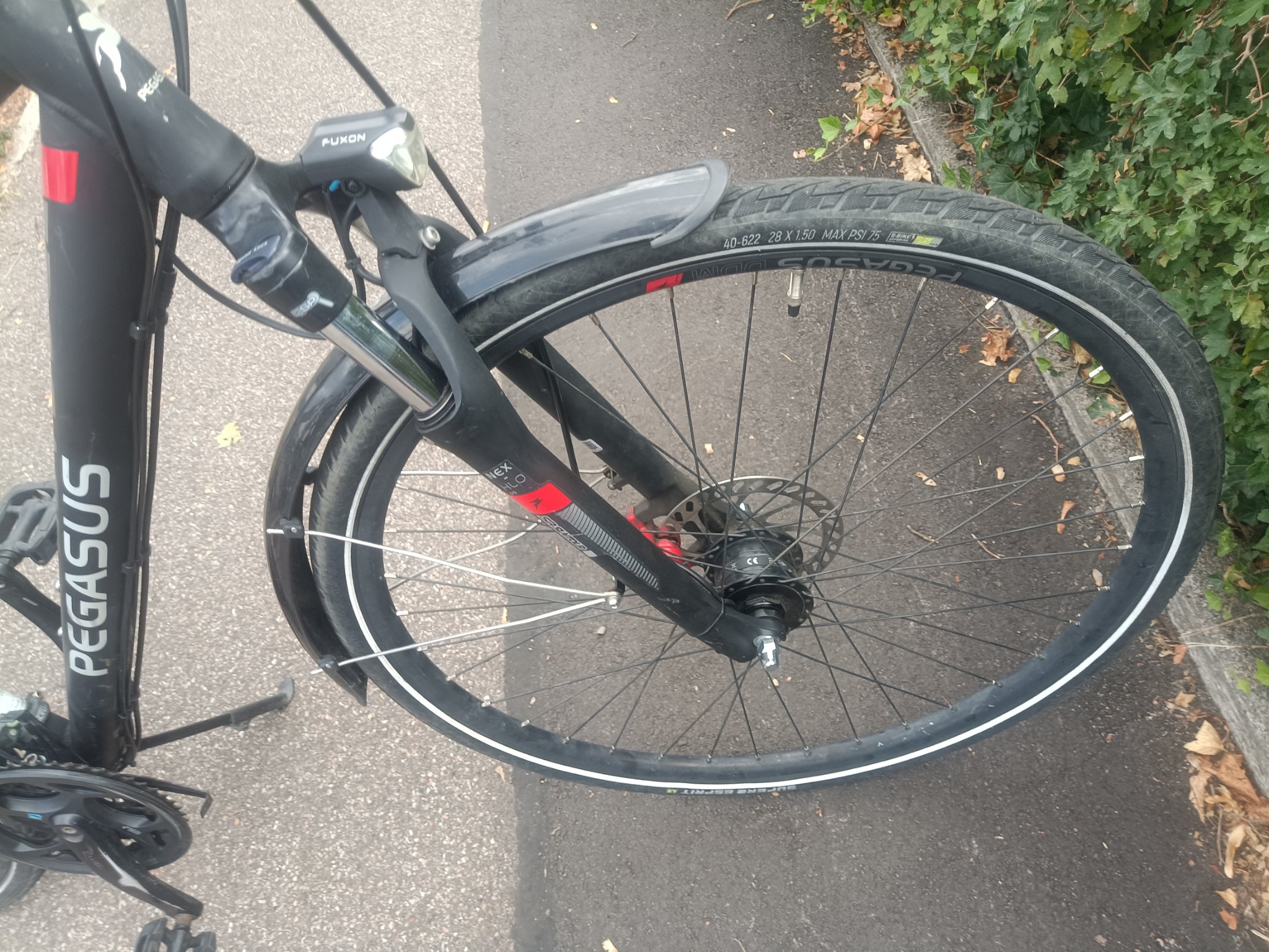 A2- 28 Zoll Pegasus Fahrrad. 24 Gänge . 48 size. Nabendynamo  — Bild 3