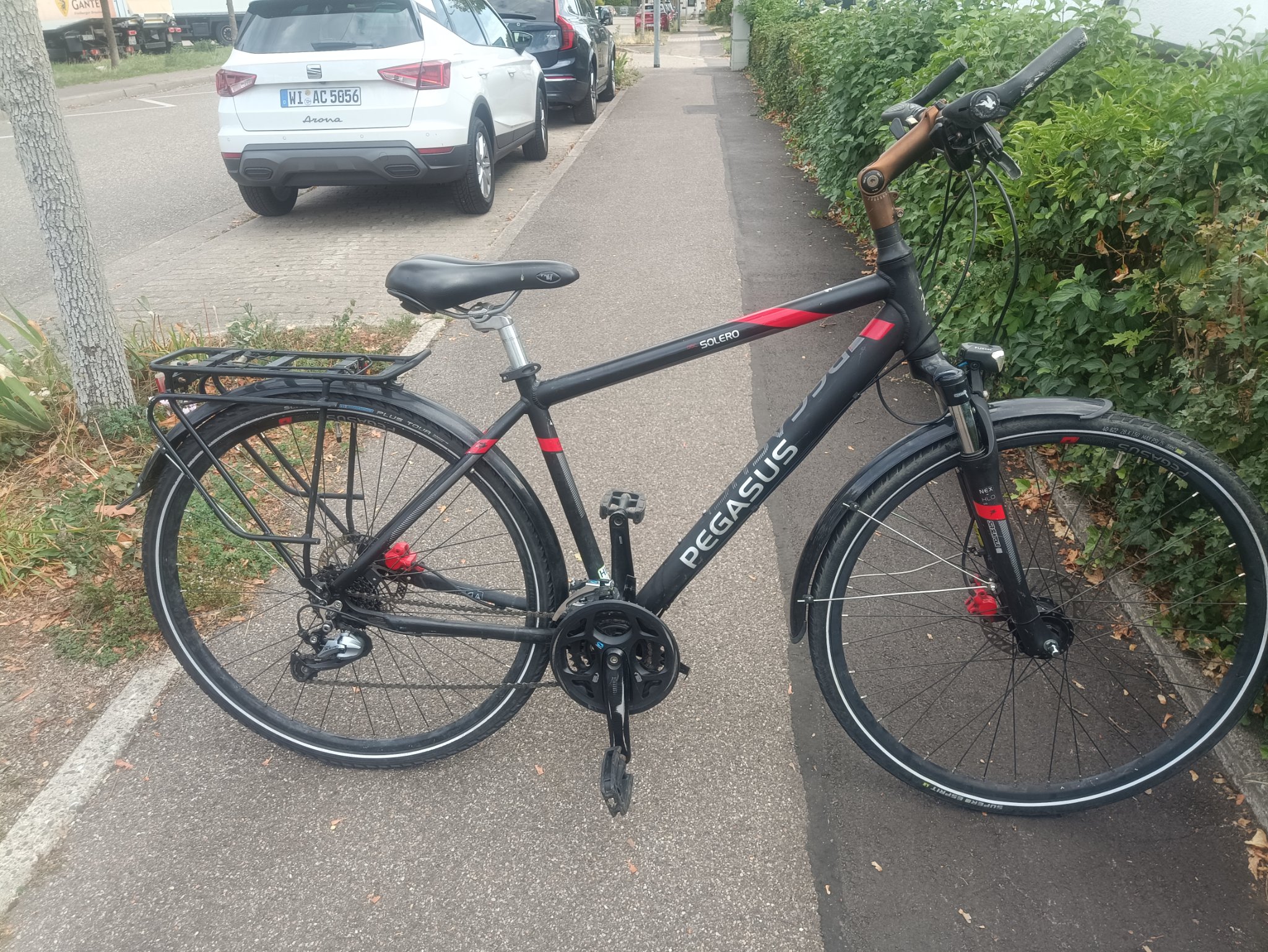 A2- 28 Zoll Pegasus Fahrrad. 24 Gänge . 48 size. Nabendynamo 