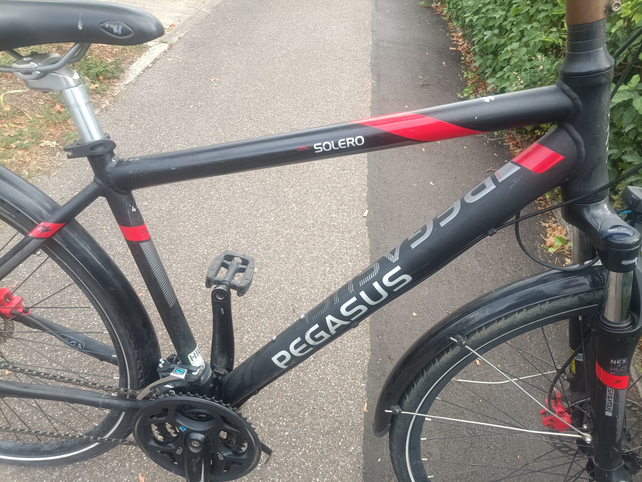 A2- 28 Zoll Pegasus Fahrrad. 24 Gänge . 48 size. Nabendynamo  — Bild 2