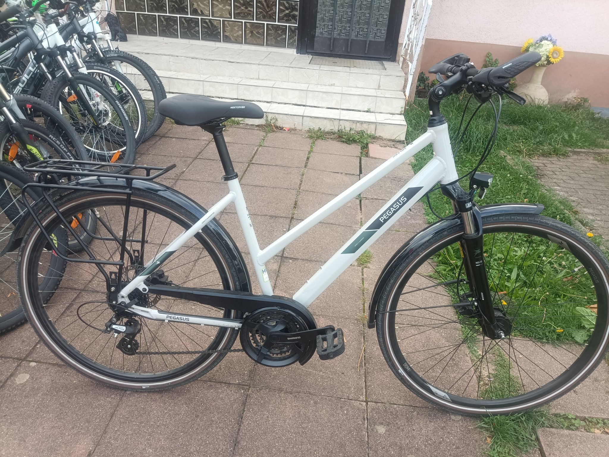 A3- 28 Zoll Pegasus Fahrrad. 24 Gänge. 50 size. Nabendynamo 