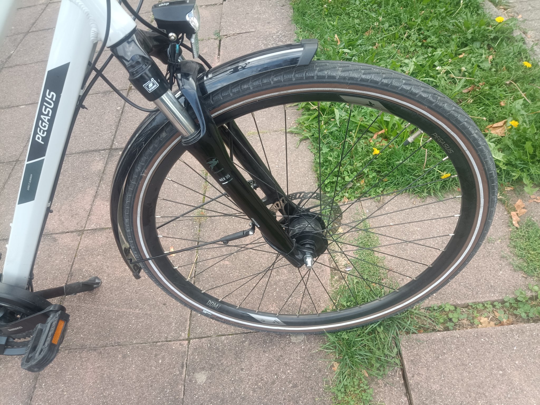 A3- 28 Zoll Pegasus Fahrrad. 24 Gänge. 50 size. Nabendynamo  — Bild 3