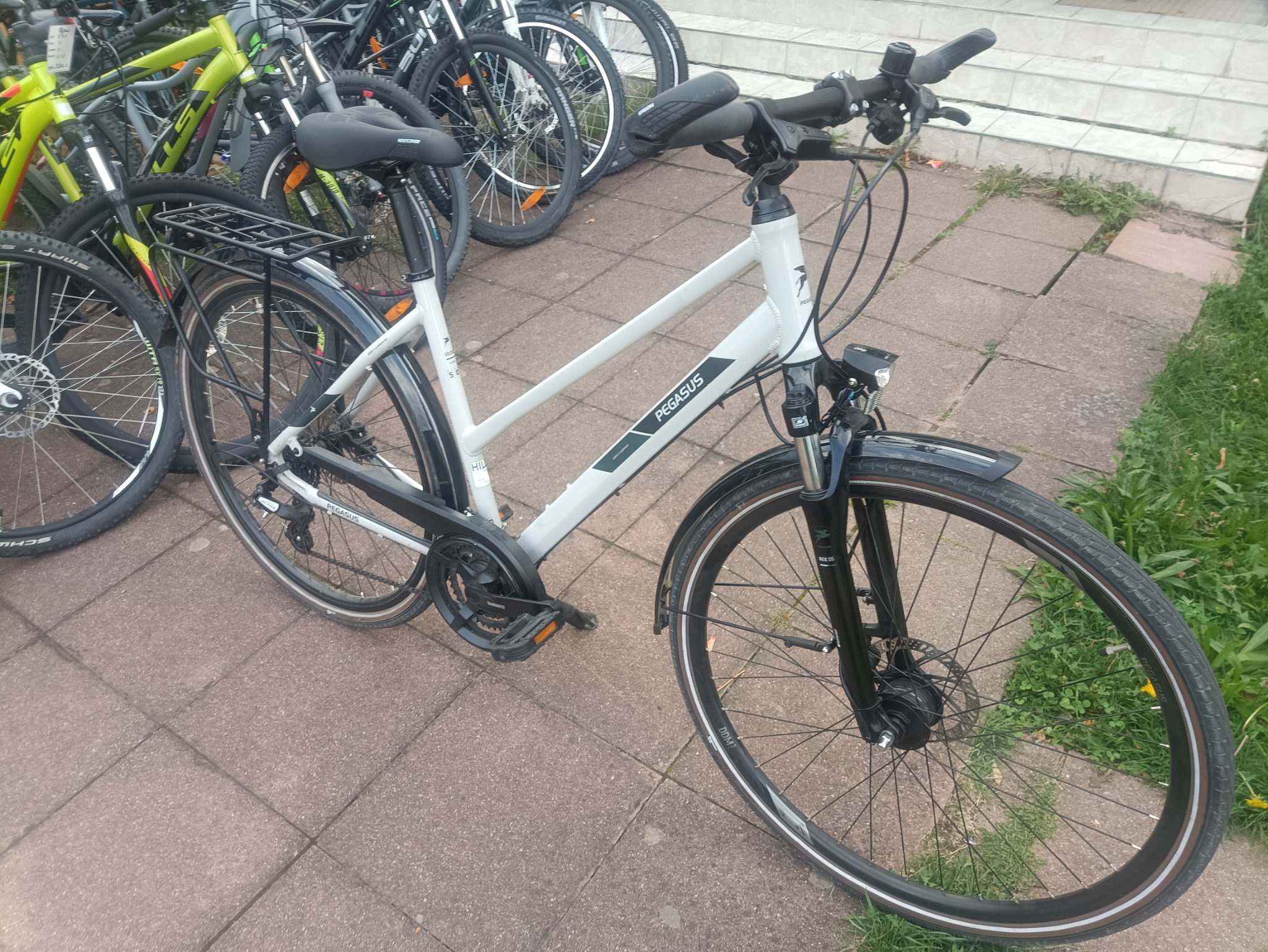 A3- 28 Zoll Pegasus Fahrrad. 24 Gänge. 50 size. Nabendynamo  — Bild 7