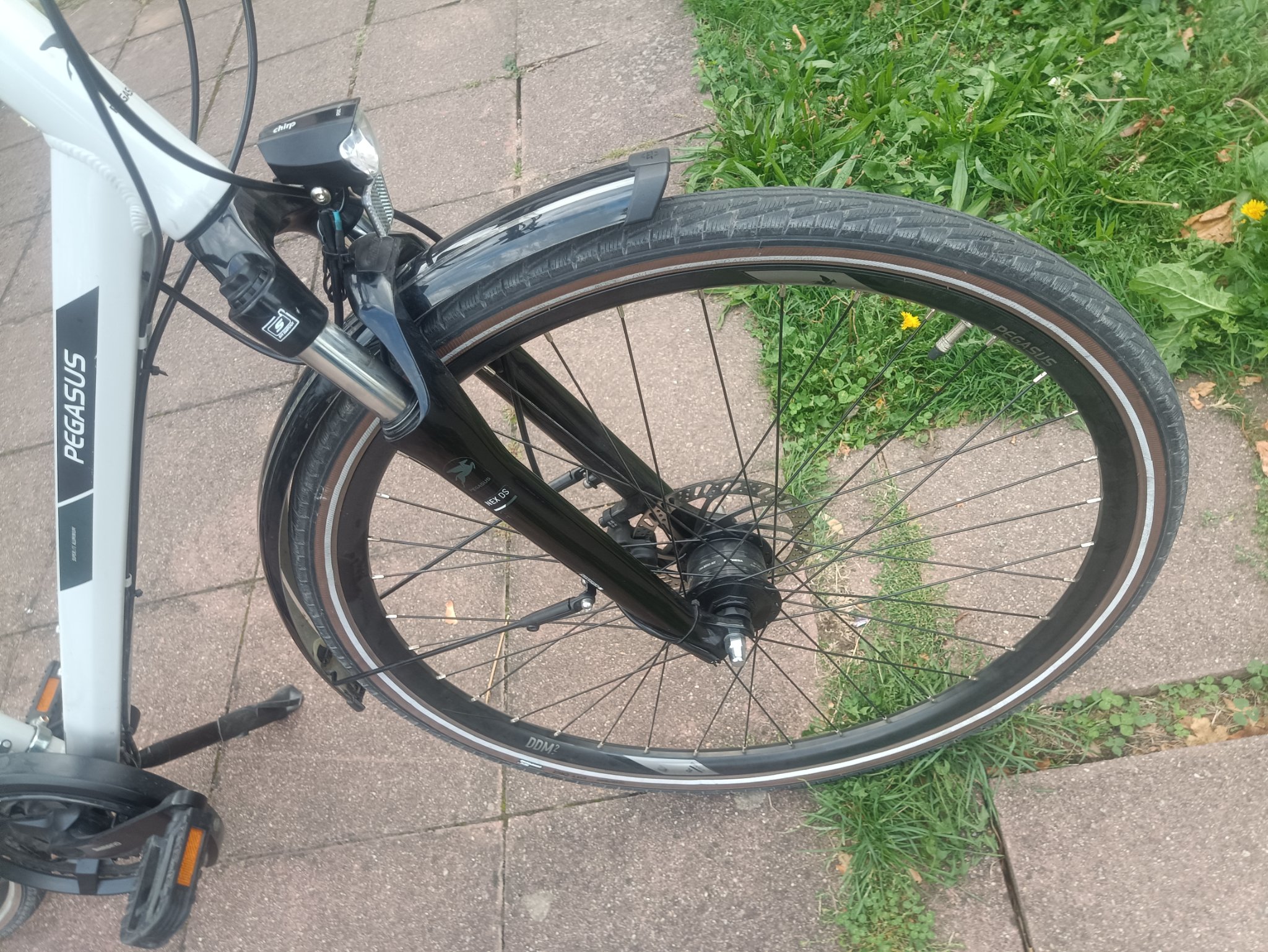 A3- 28 Zoll Pegasus Fahrrad. 24 Gänge. 50 size. Nabendynamo  — Bild 6