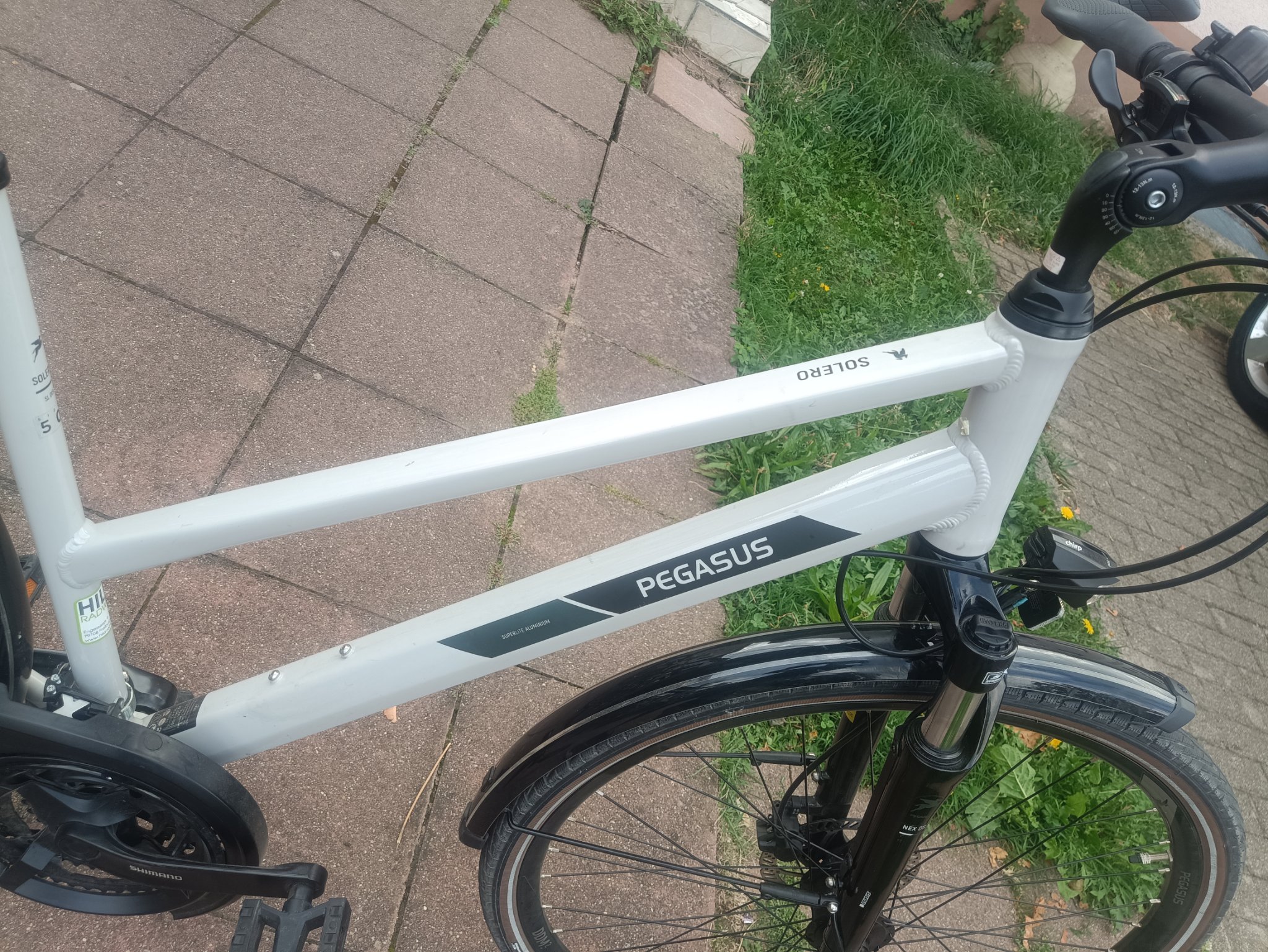 A3- 28 Zoll Pegasus Fahrrad. 24 Gänge. 50 size. Nabendynamo  — Bild 2