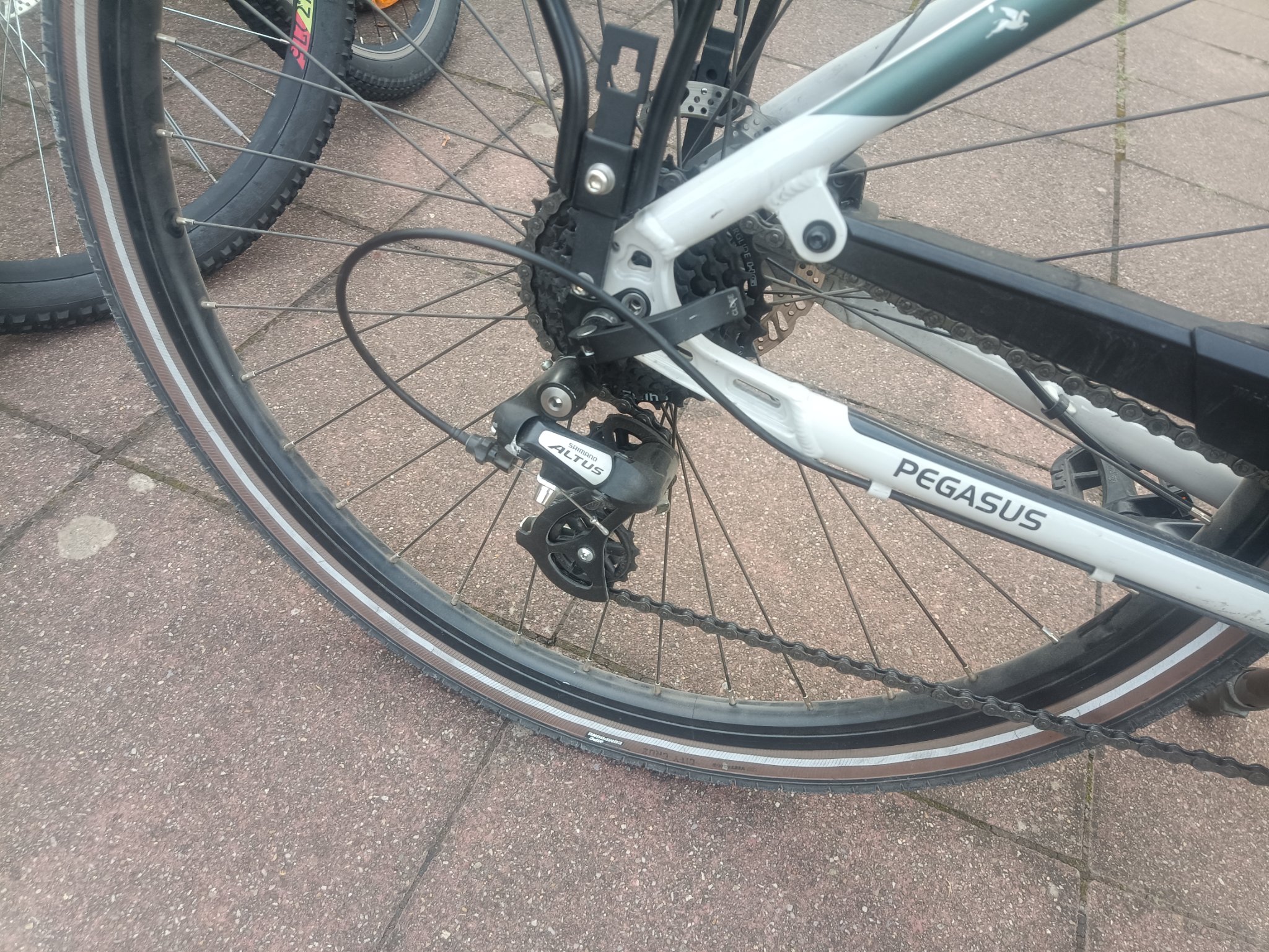 A3- 28 Zoll Pegasus Fahrrad. 24 Gänge. 50 size. Nabendynamo  — Bild 5