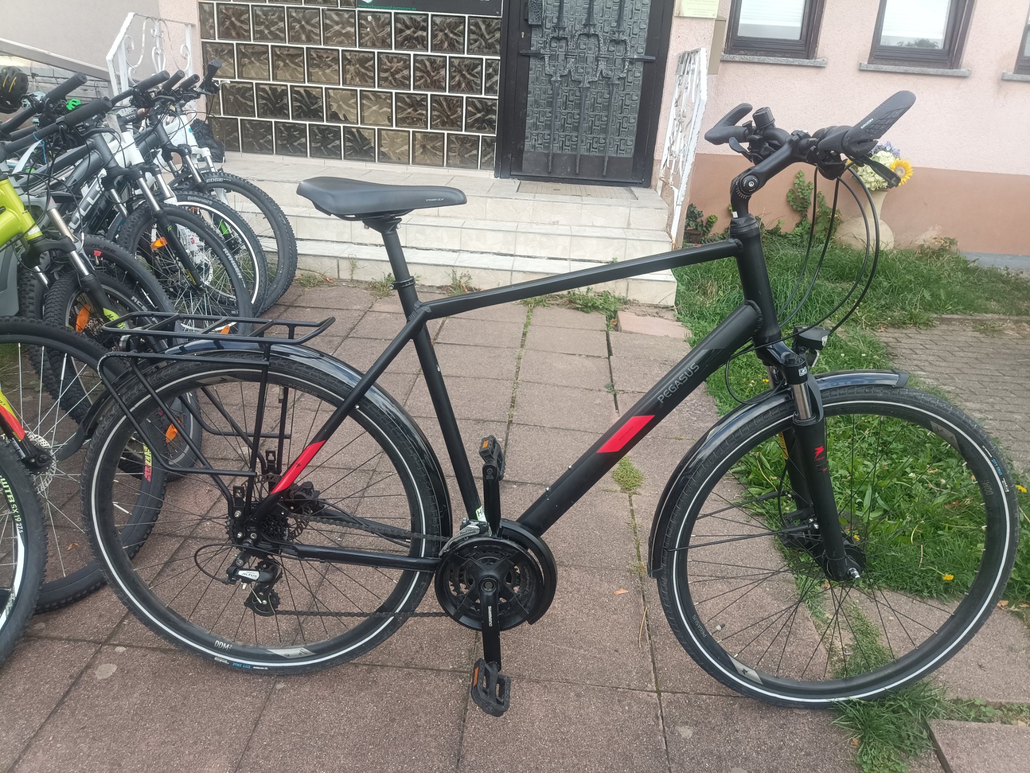 A4 - 28 Zoll Pegasus Fahrrad. 24 Gänge. 60 size. Nabendynamo 